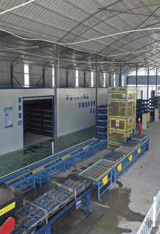 全自動預製件生產線設備/預製件整廠自動化生產